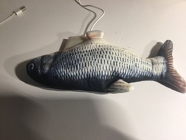 Kicker Fish charging Kicker Fish charging