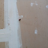 Roaches in my units