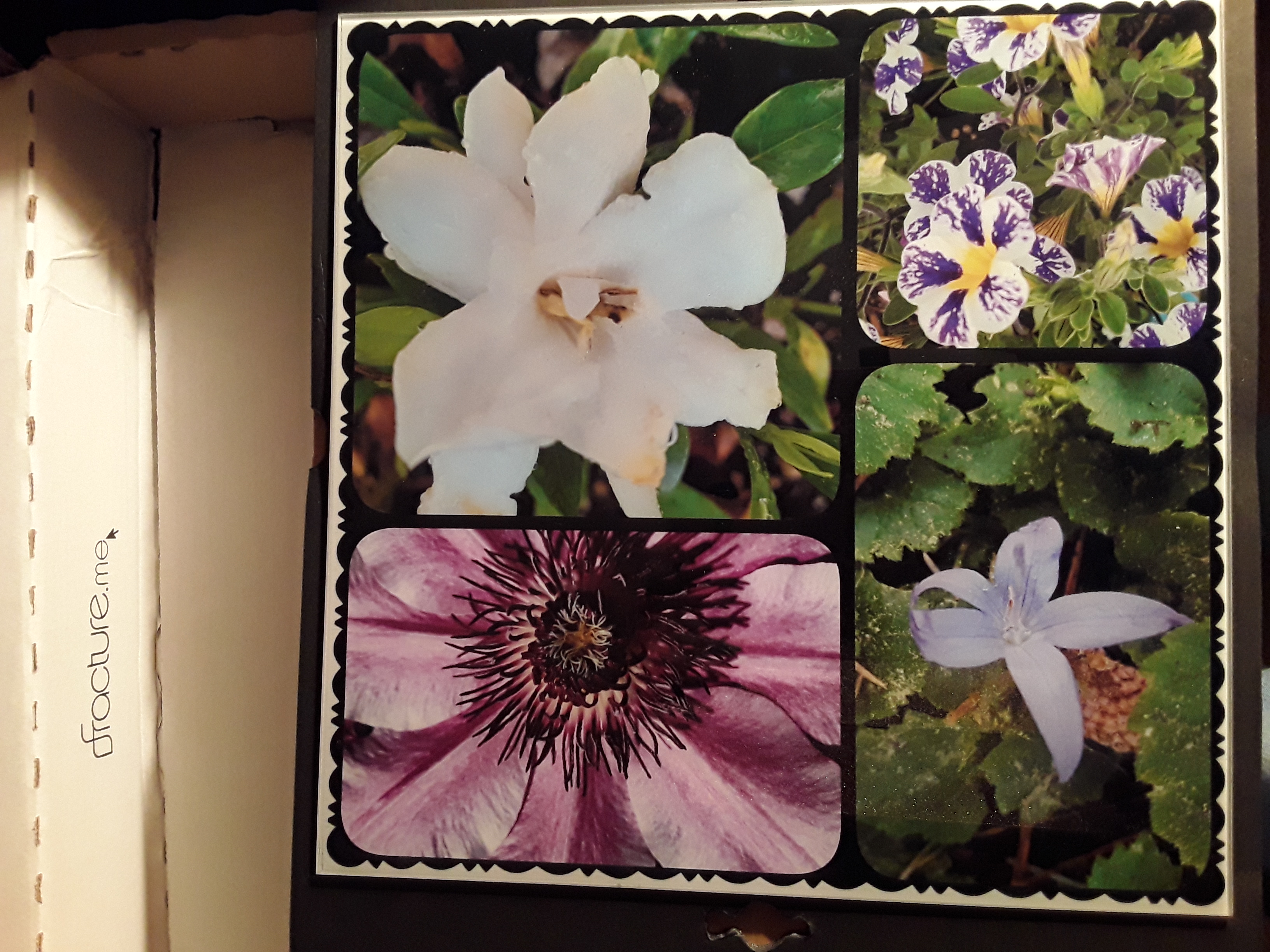 Fracture glass photo review phoenix easterngola