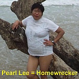 Google: Pearl Lee Gitter of Janney Montgomery Scott in Philadelphia, PA.
This woman defrauded my life savings.