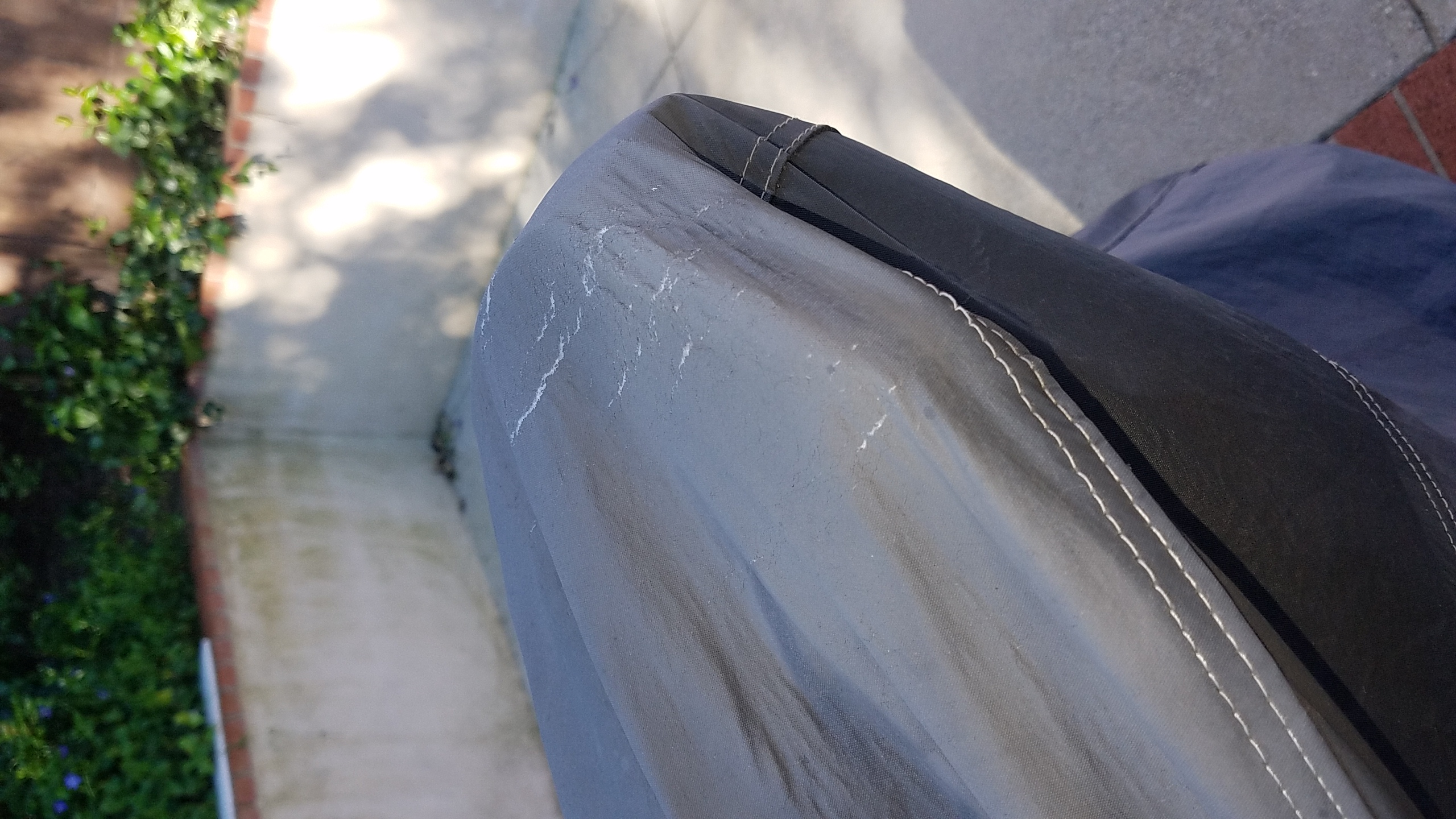 Seal Skin Covers Reviews 37,697 Reviews of