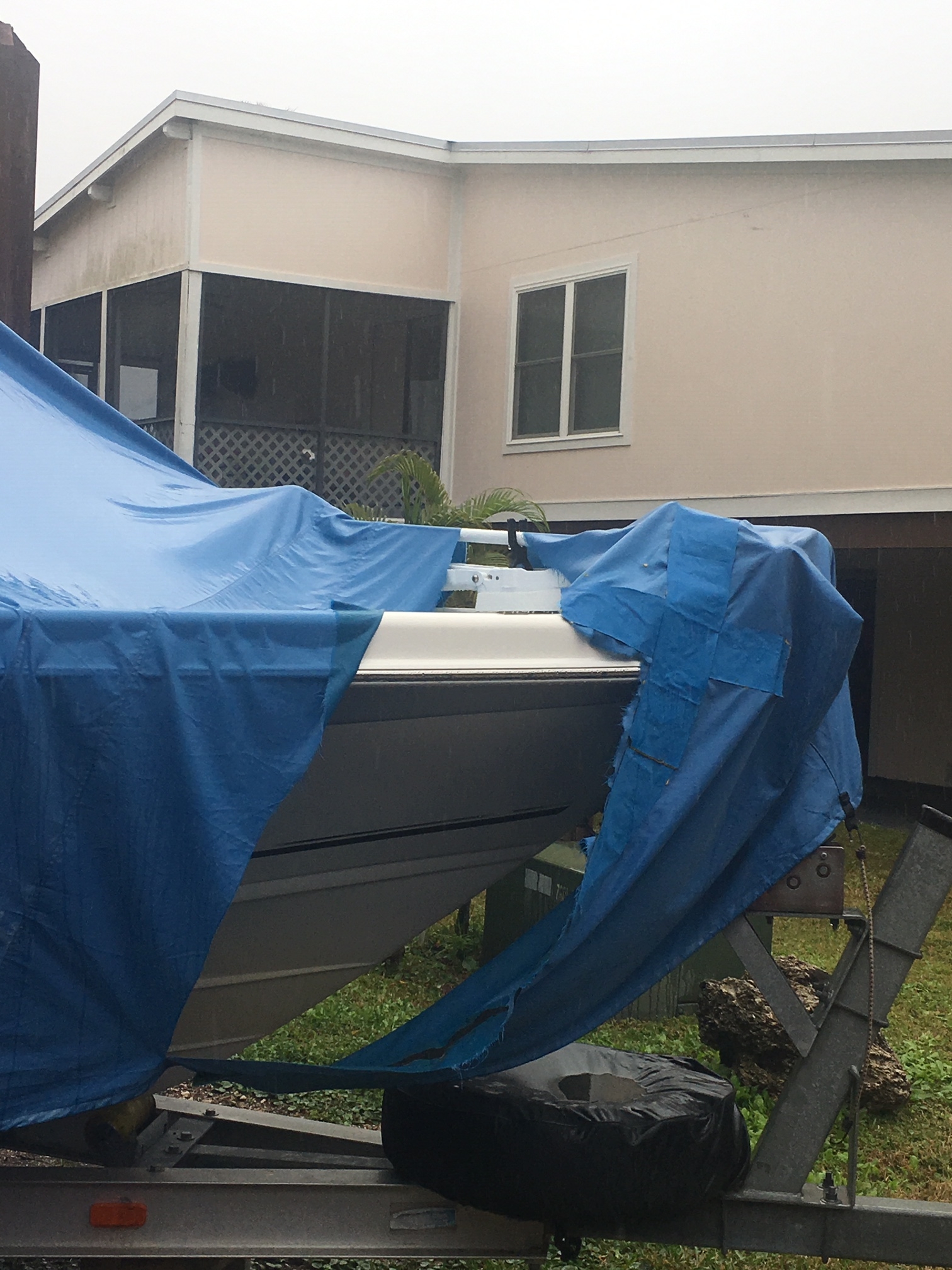 Seal Skin Covers Reviews 37,697 Reviews of