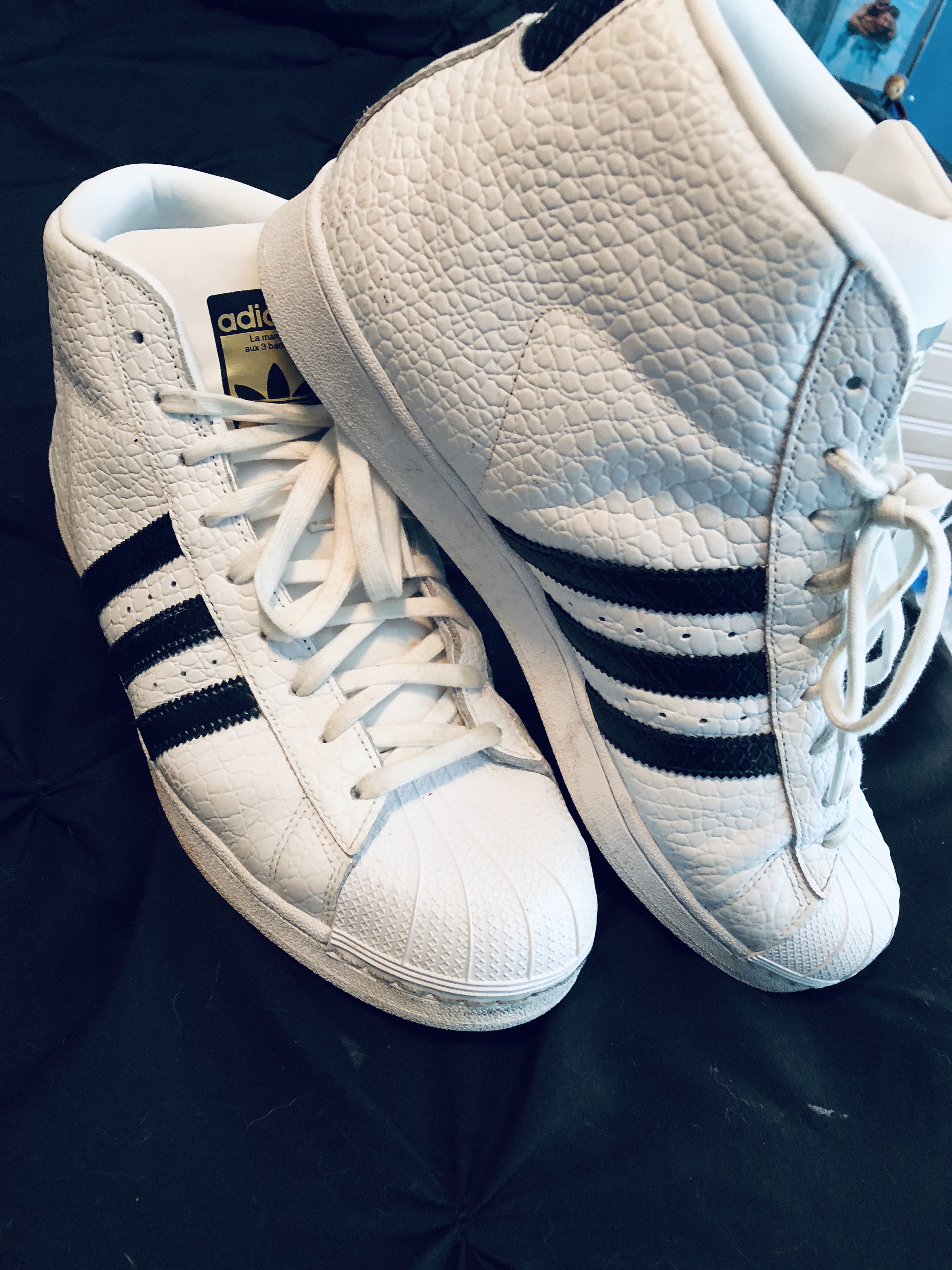 shoebacca amazon