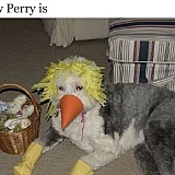 Everyone is Matthew Perry.