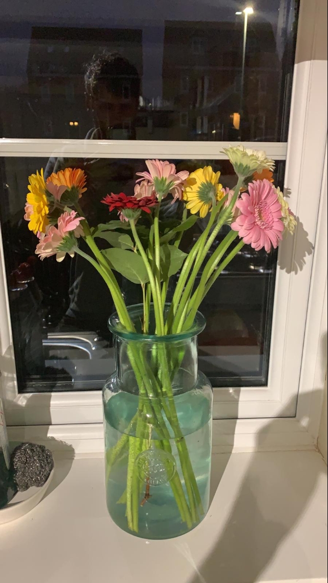 Lovely Flora World Reviews 285 Reviews of