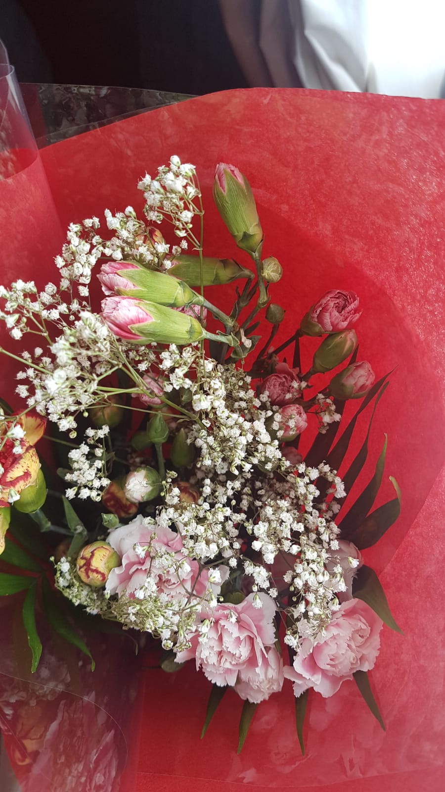 Lovely Flora World Reviews 285 Reviews of