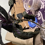 Persian shield received