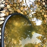 Before filter