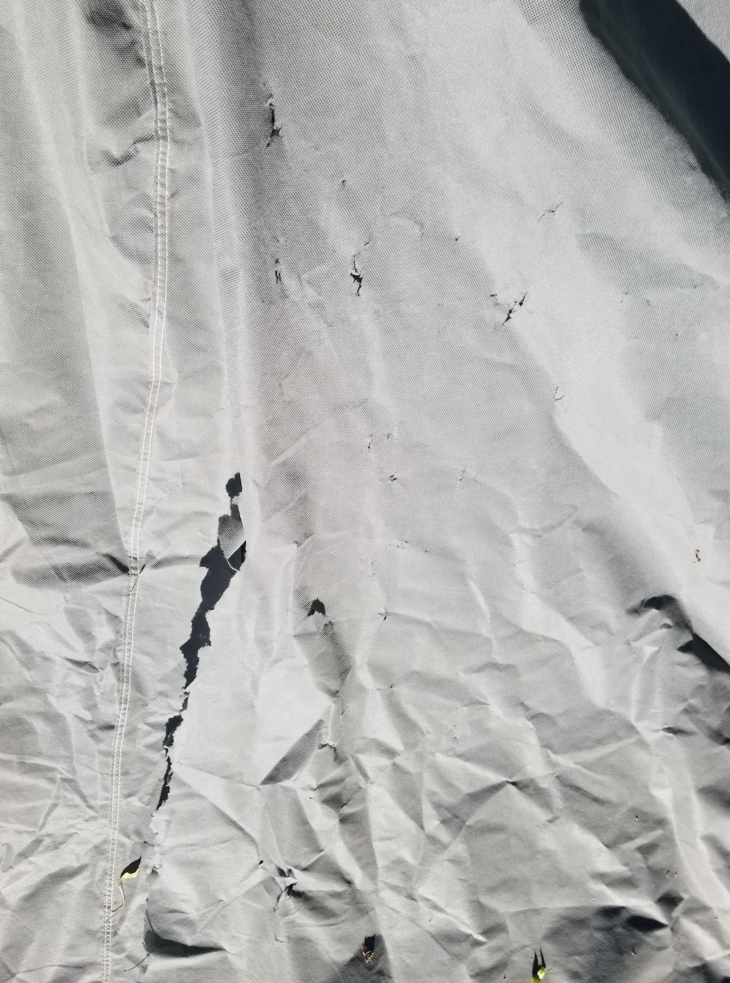 Cover Anything Reviews 30,641 Reviews of Sitejabber