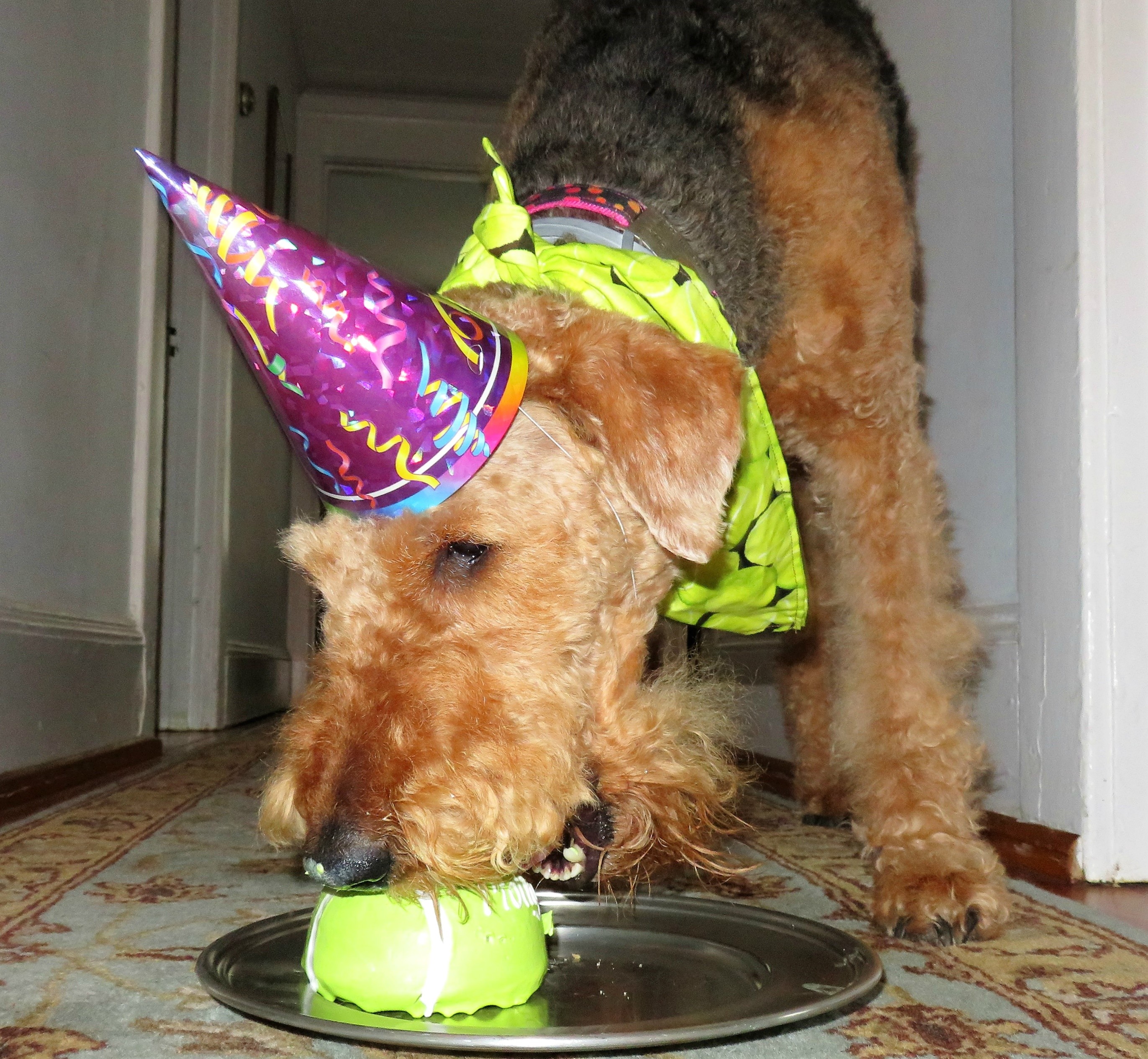 Okra & Molly Reviews 318 Reviews of Sitejabber