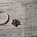 The ring itself.