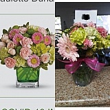 Avoid wasting your money. The after-thought ribbon around the vase didn’t make up for the difference in the arrangement. I could have grabbed these at the grocery store and stuck them in a vase myself. This was listed as an $80.00 arrangement and it wasn’