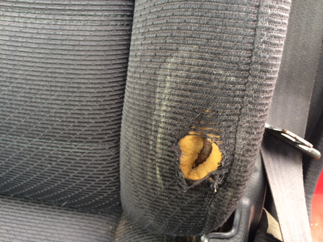 Costco Reviews - 1,154 Reviews of Costco.com | Sitejabber