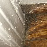 Floors in the apartment!