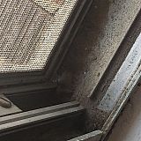 Window ledges inside the apartment!