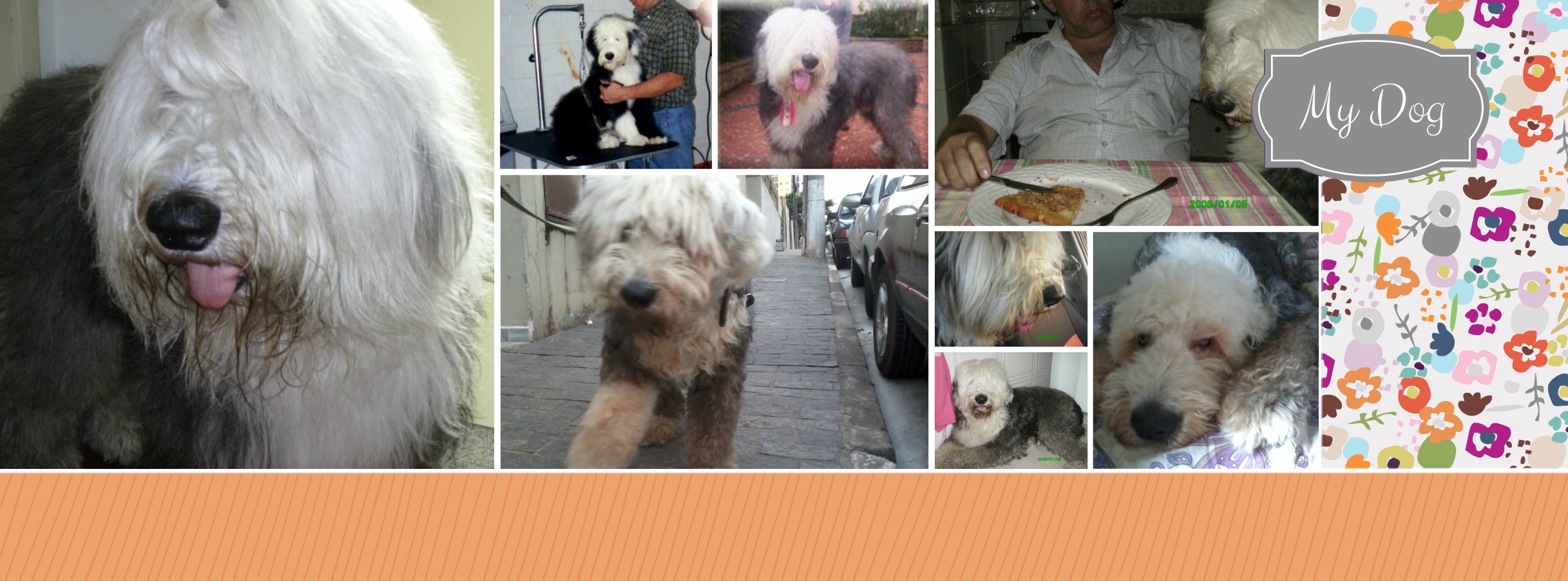 support smilebox com support smilebox com