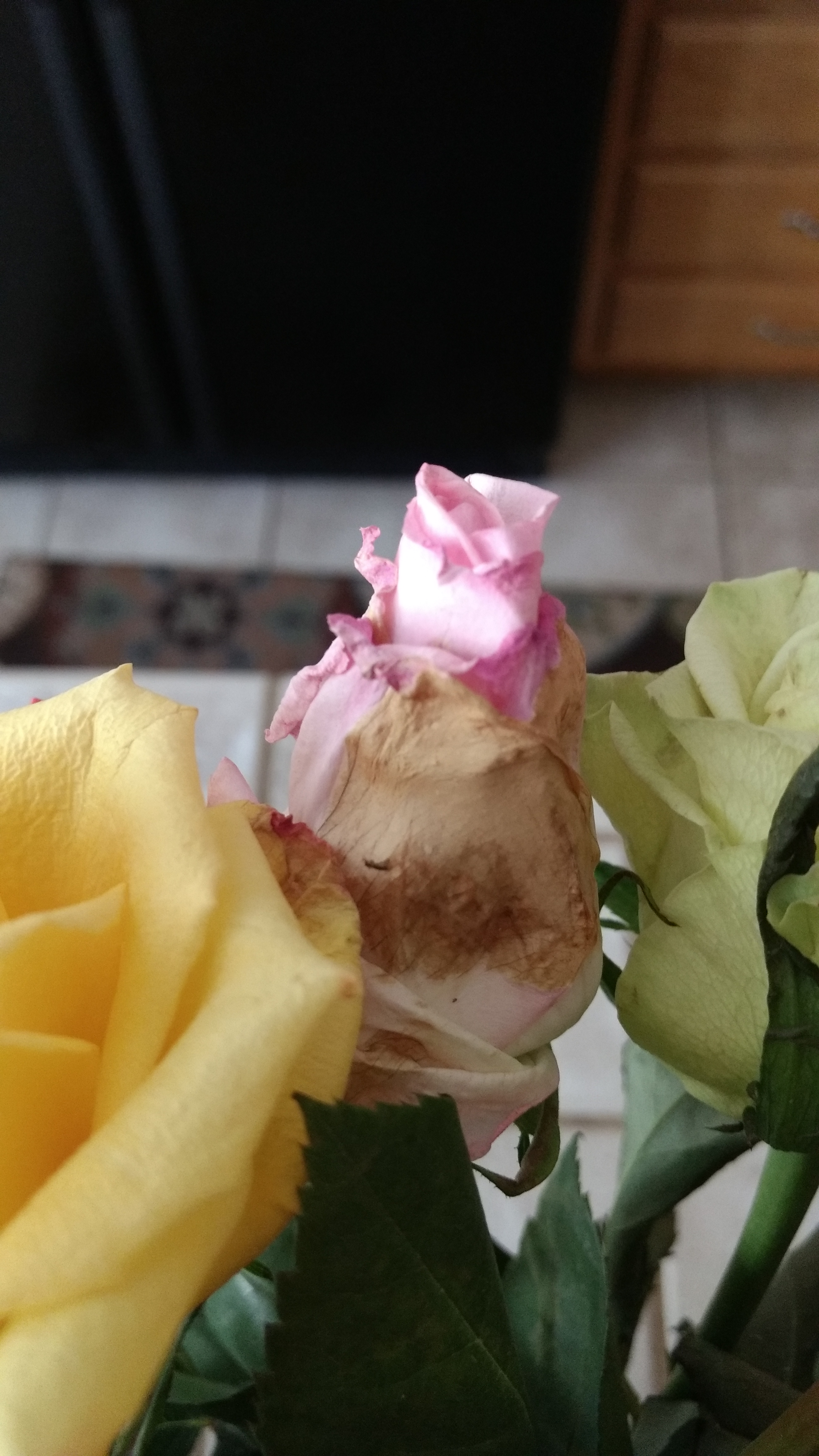 1800Flowers Reviews 849,377 Reviews of Sitejabber