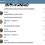 The screenshots of the chat (1)