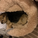 Bedtime