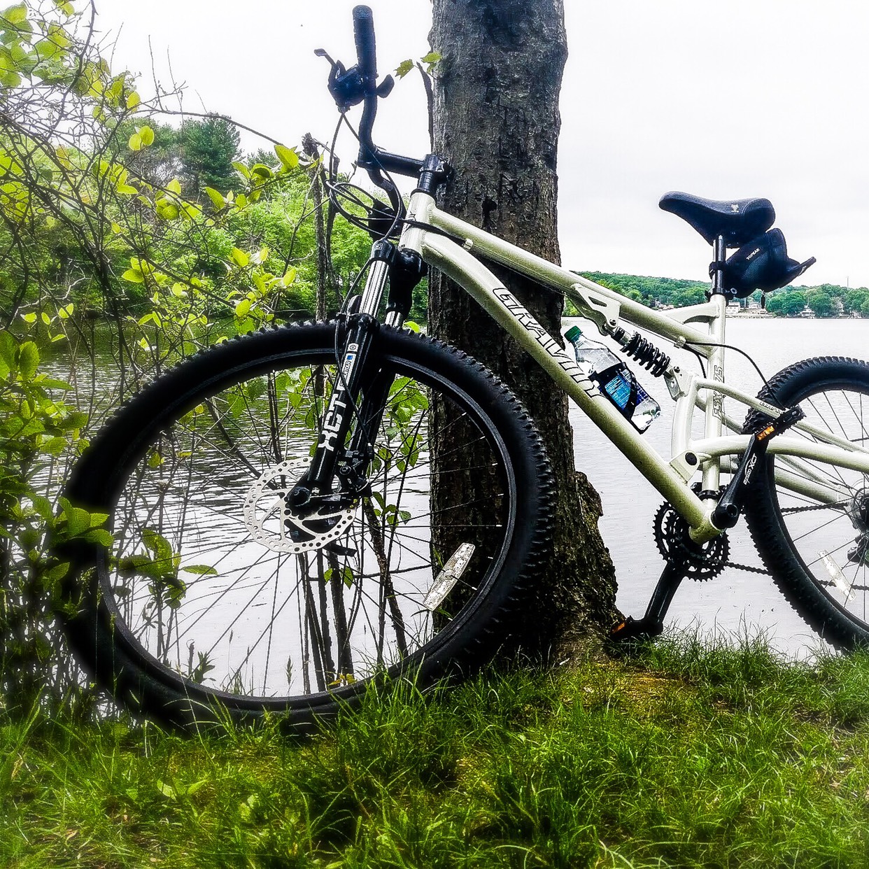 BikesDirect Reviews 438 Reviews of Sitejabber