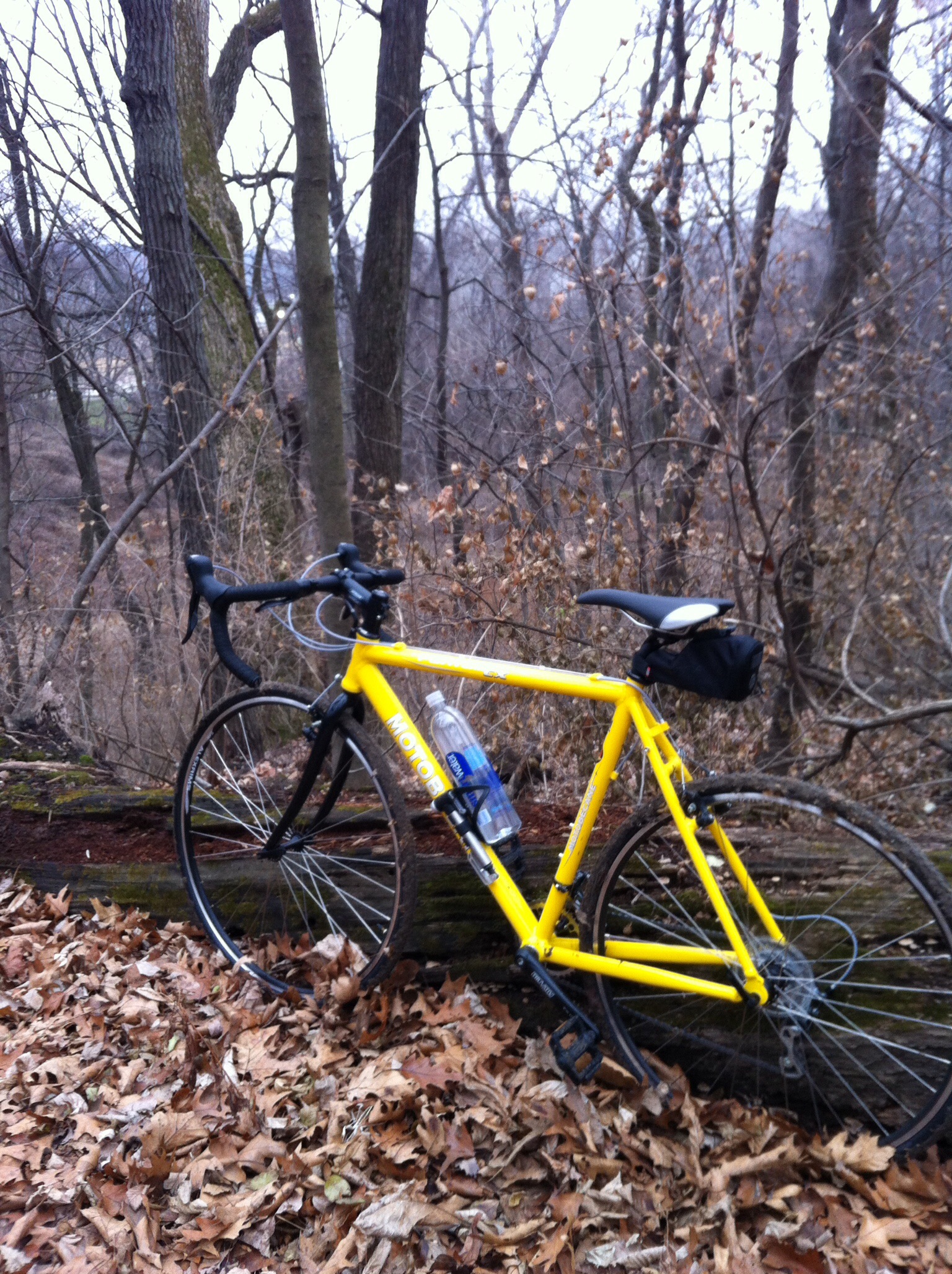 bikesdirect alternative