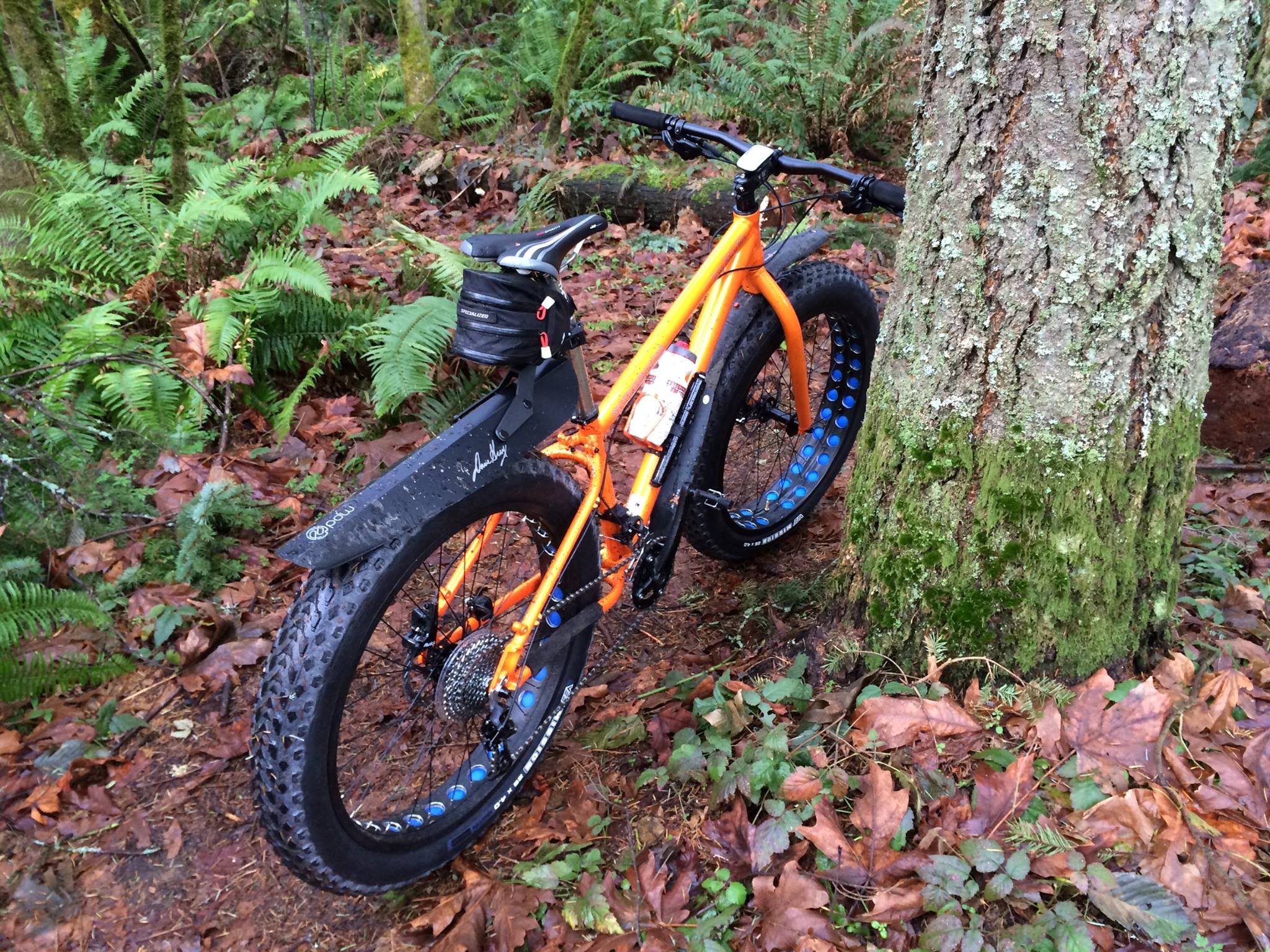 BikesDirect Reviews 438 Reviews of Bikesdirect com Sitejabber