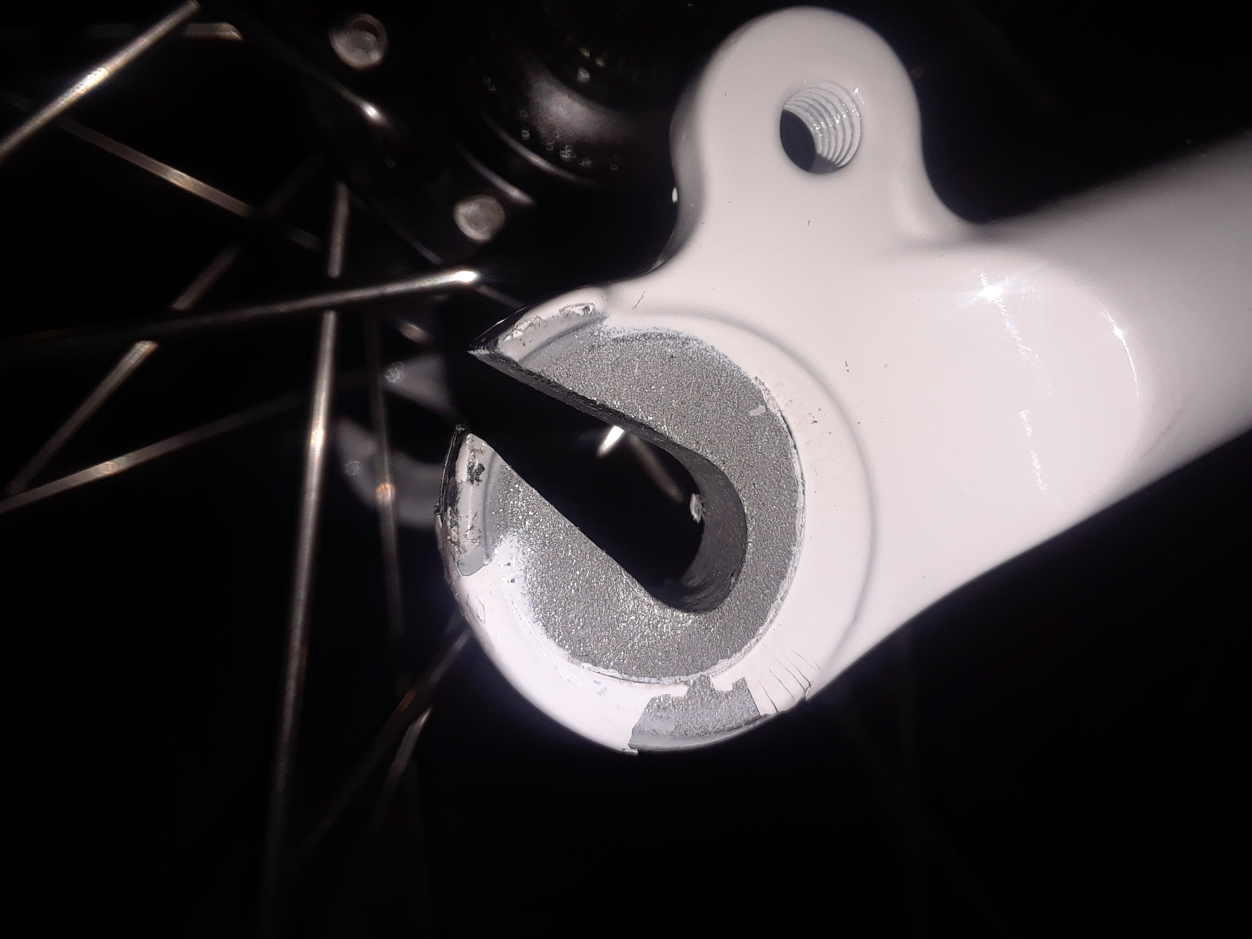 bikesdirect alternative