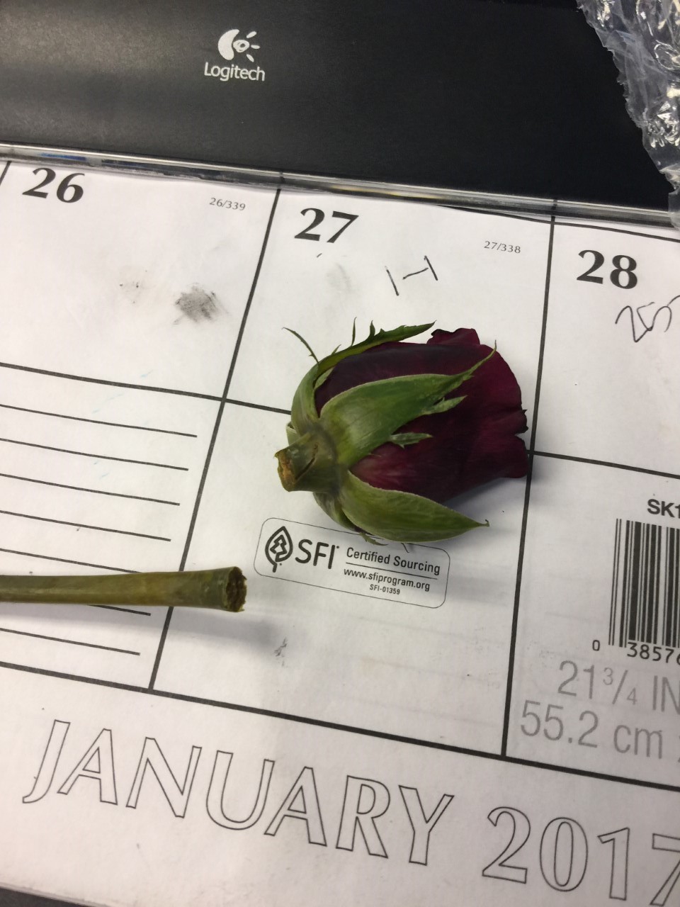 ProFlowers Reviews 405 Reviews of Sitejabber