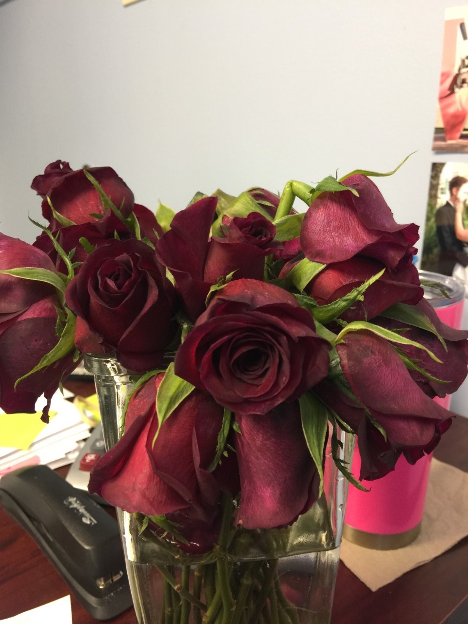 ProFlowers Reviews 405 Reviews of Sitejabber