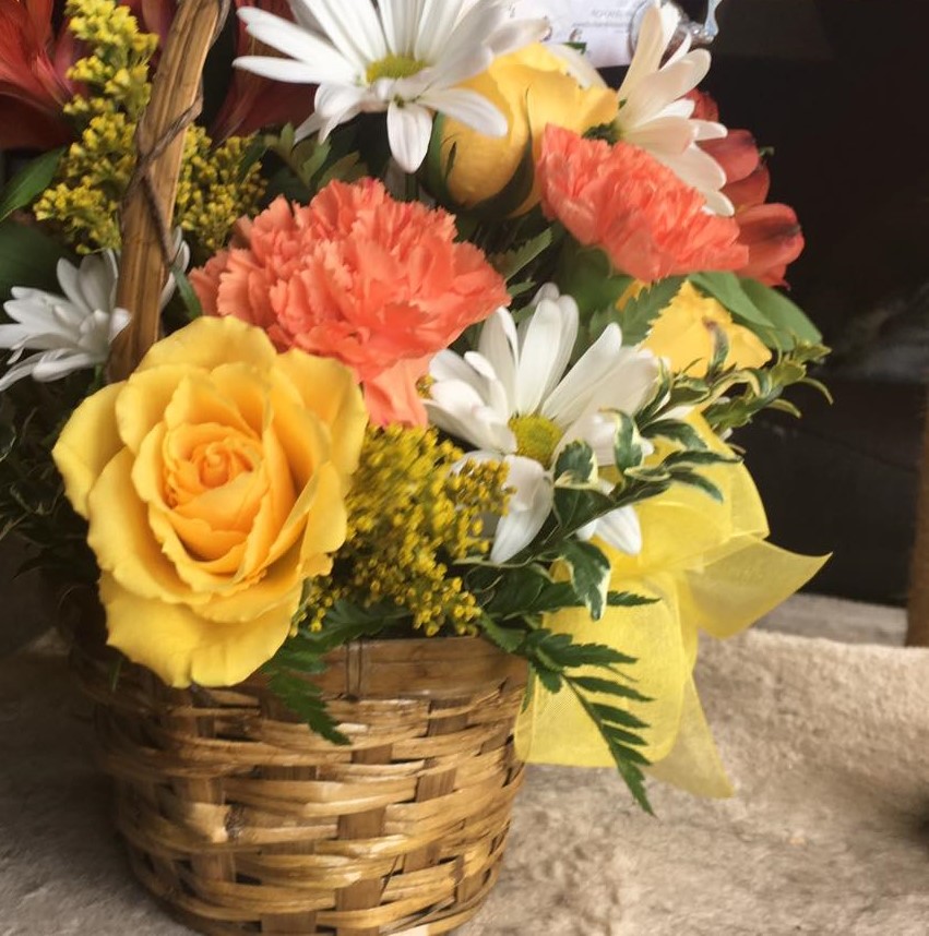 proflowers free shipping proflowers free shipping