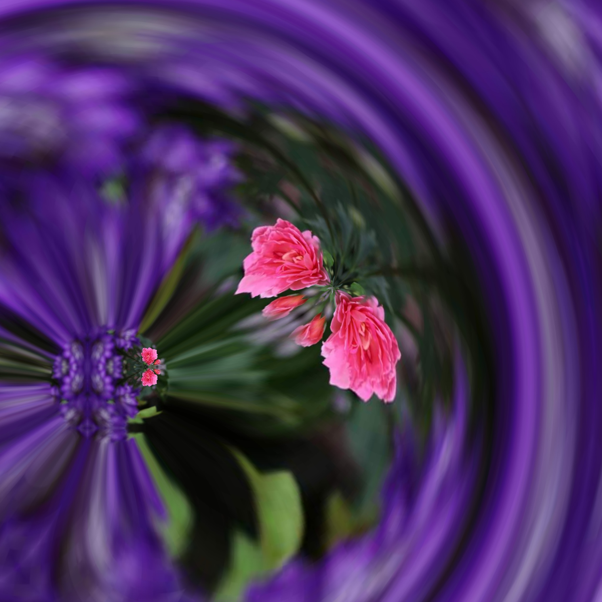 CanvasDiscount Reviews 1,161 Reviews of Sitejabber