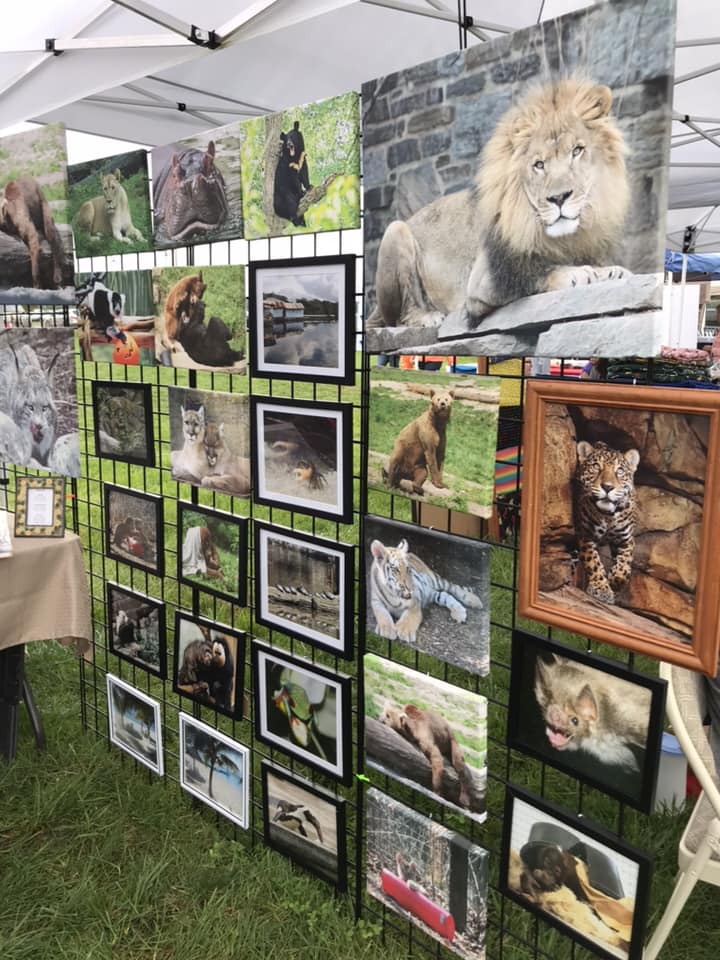 CanvasDiscount Reviews 1,183 Reviews of Sitejabber