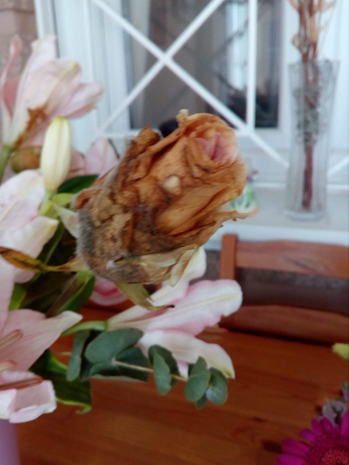 FloraQueen Reviews 100 Reviews of Sitejabber