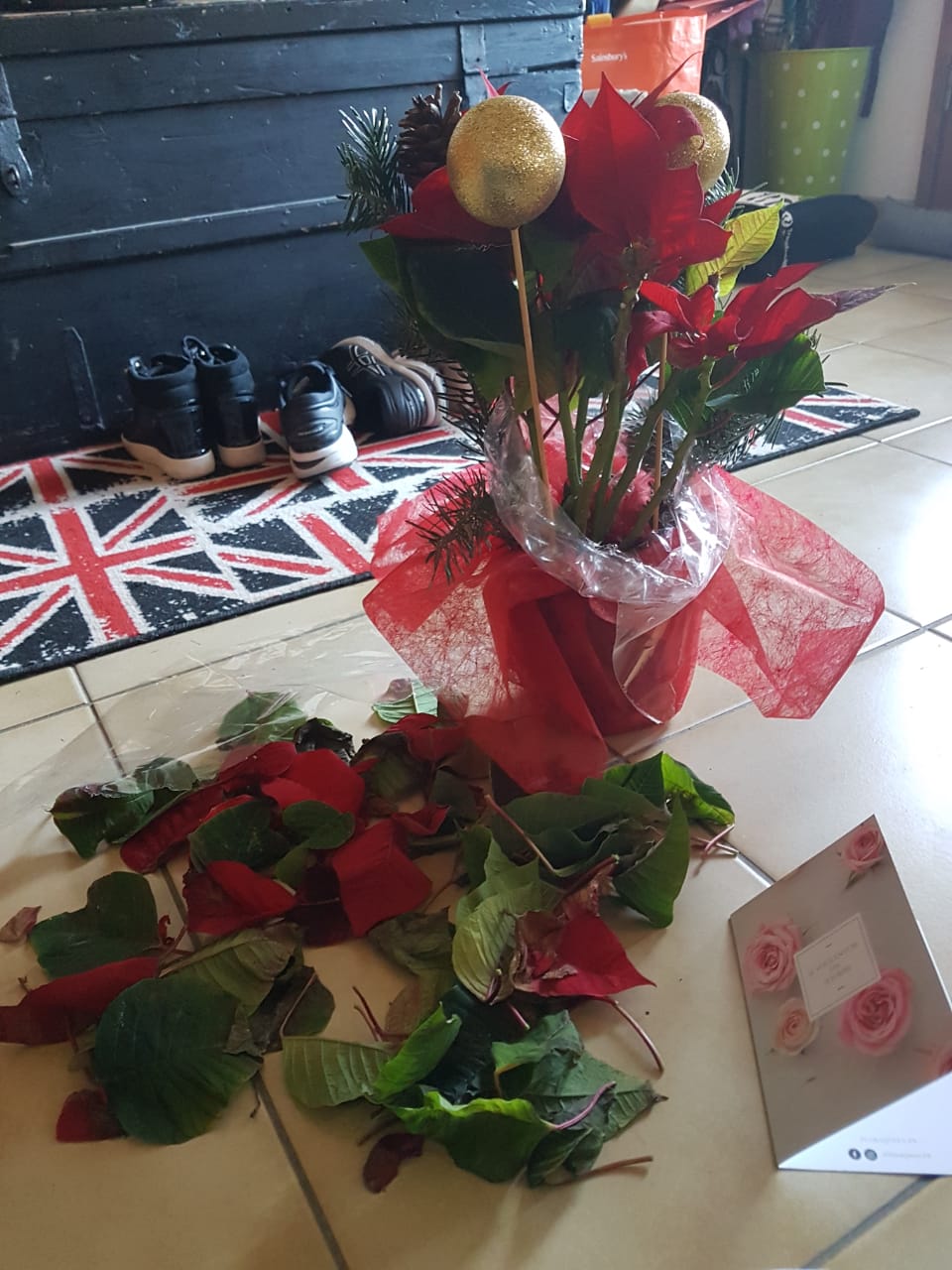 FloraQueen Reviews 100 Reviews of Sitejabber