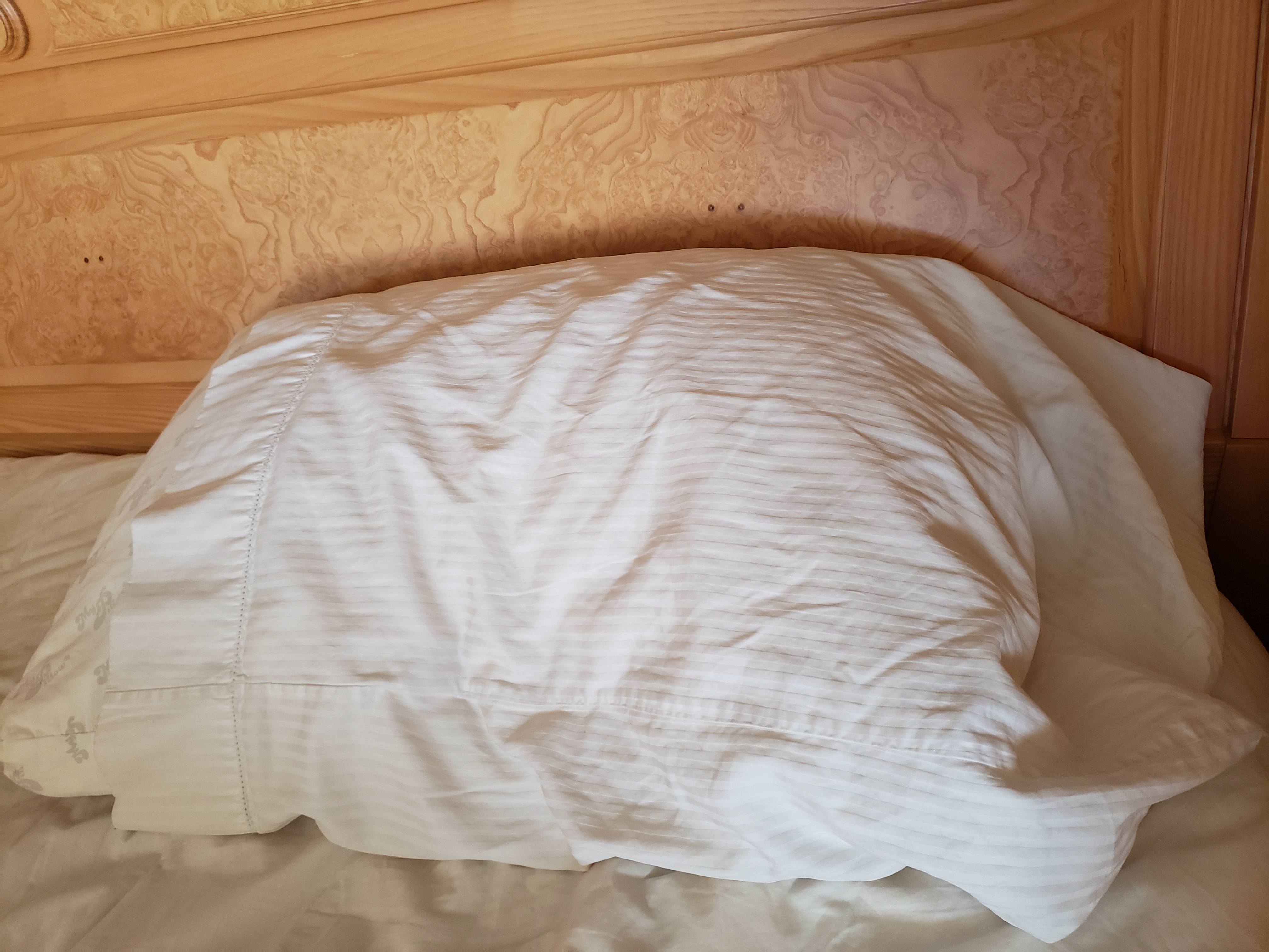 MyPillow Reviews 75 Reviews of Sitejabber