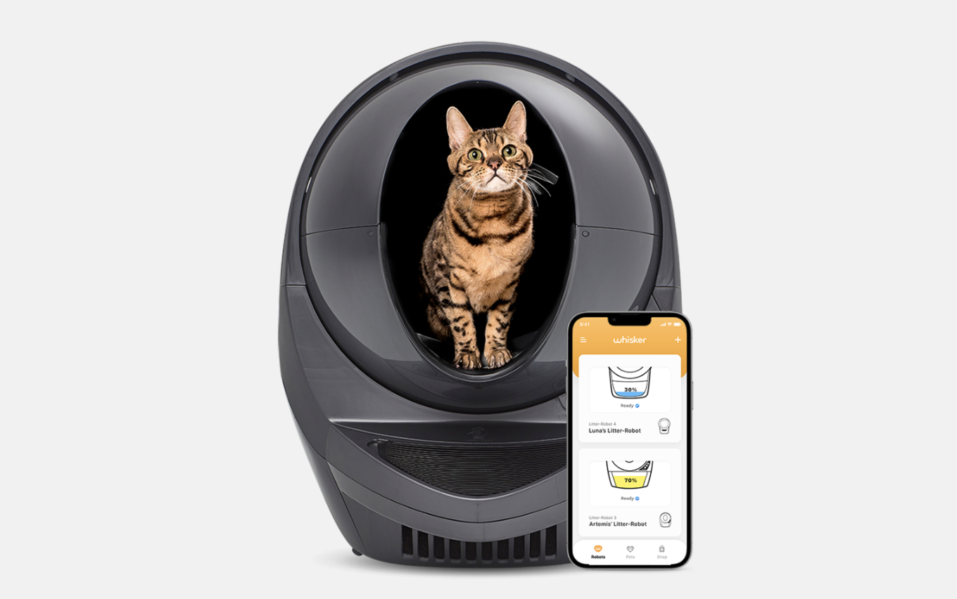 chewy pet meds reviews