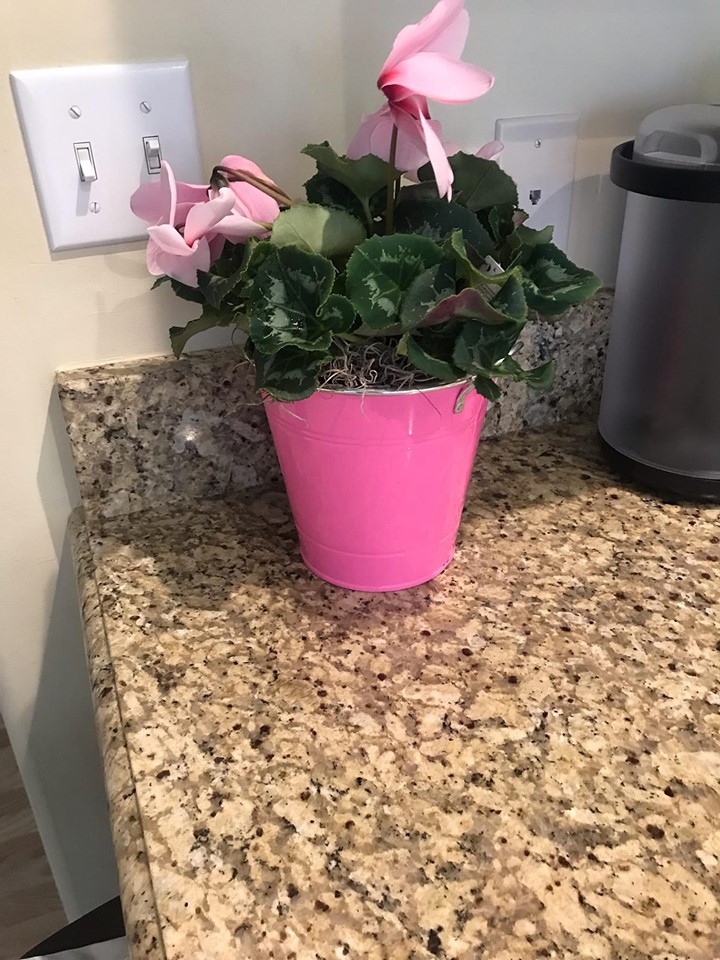 Reviews 124,838 Reviews of Sitejabber