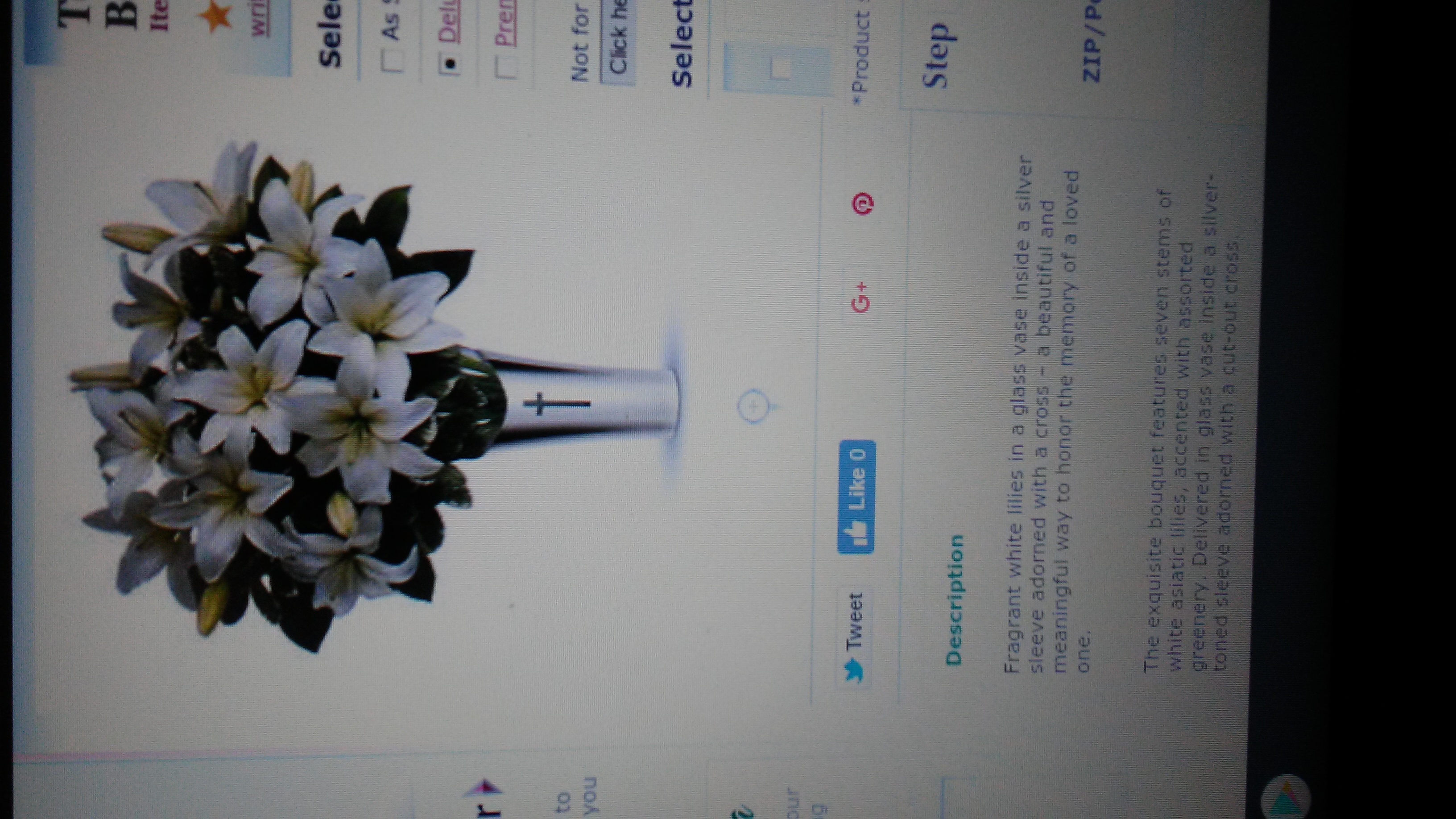 Reviews 124,838 Reviews of Sitejabber