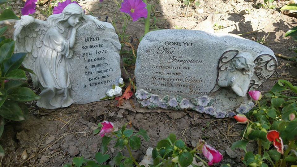 Reviews 124,838 Reviews of Sitejabber