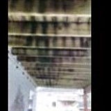 This is black mold.