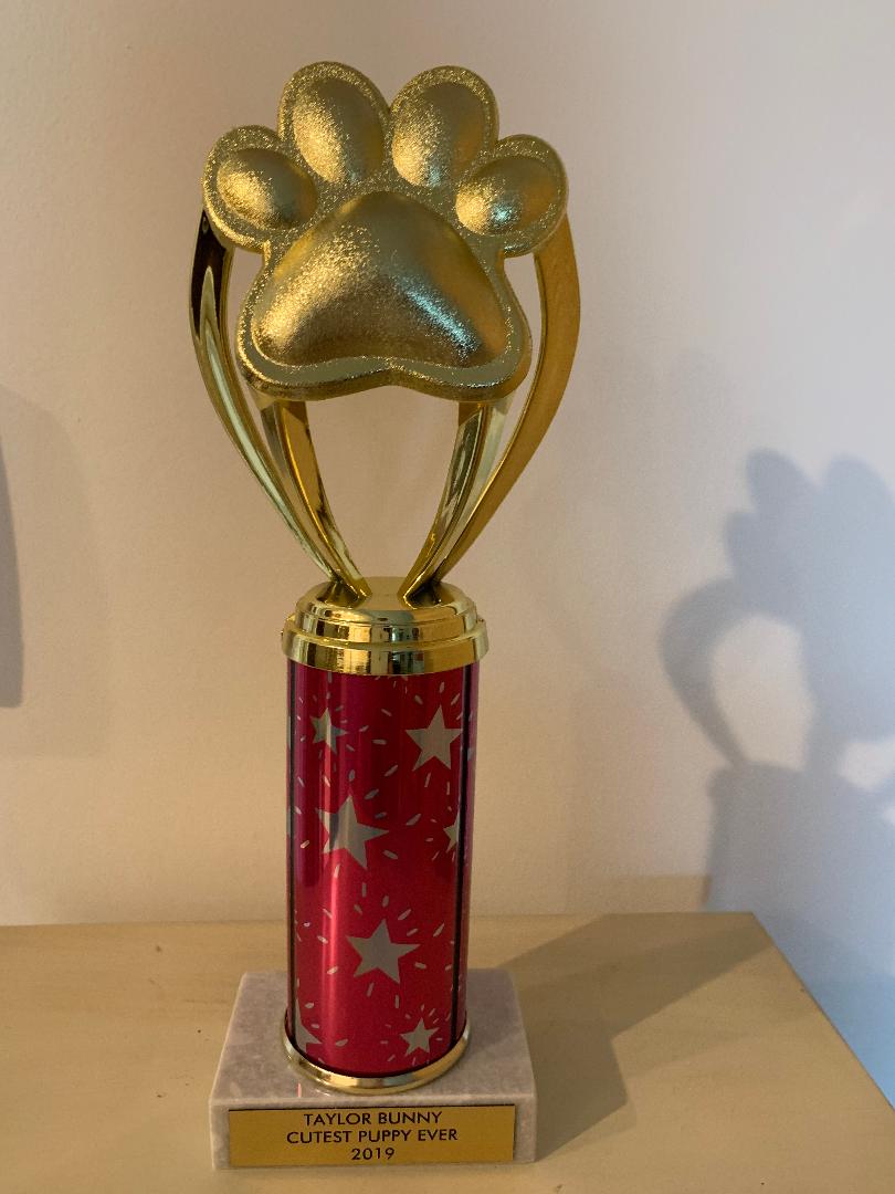 Crown Awards Reviews - 124,859 Reviews of Crownawards.com ...