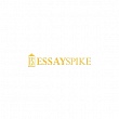 Essay Spike