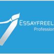 Essay Writers