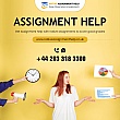 Native Assignment Help