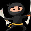 Ninja Essays
