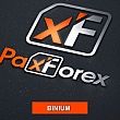 Pax Forex