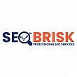 Seo Brisk