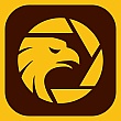 Wikifx Global
