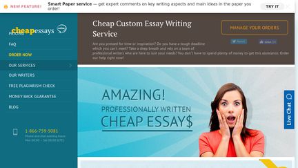 Cheap essays online reviews