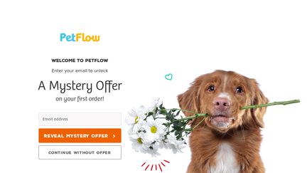 shipping for pet flow shipping for pet flow